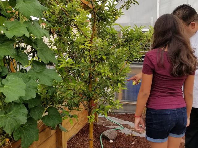 Photo of El Paso Community College