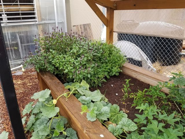 Photo of El Paso Community College