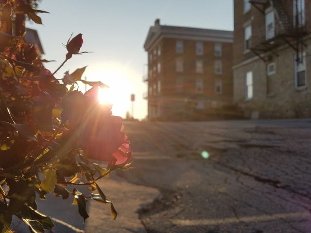 Photo of Elim Bible Institute and College