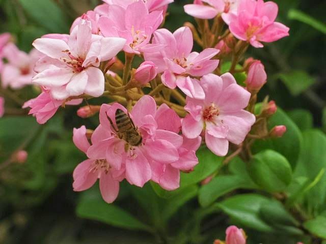 Photo of Episcopal Theological Seminary of the Southwest