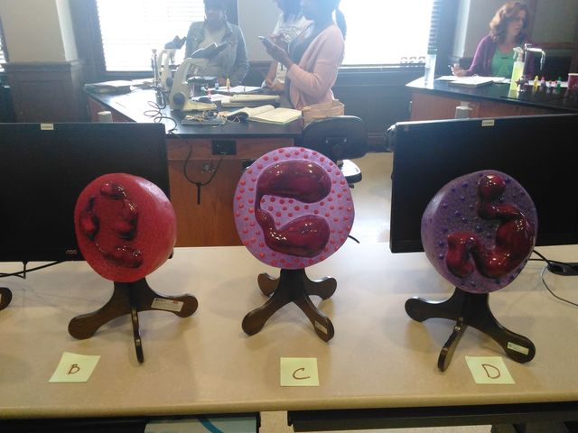 Photo of Erie Community College