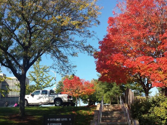 Photo of Essex County College