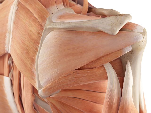 Photo of European Medical School of Massage