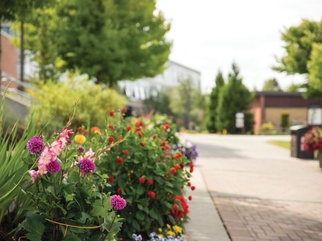 Photo of Everett Community College