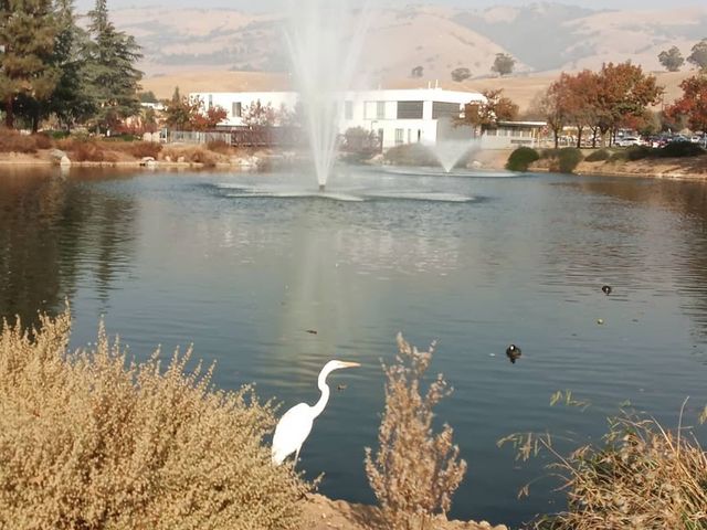 Photo of Evergreen Valley College