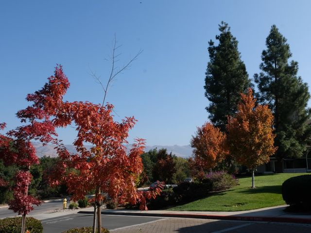 Photo of Evergreen Valley College
