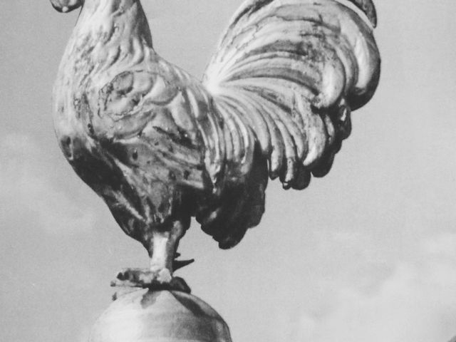 Photo of Krebs' Skole