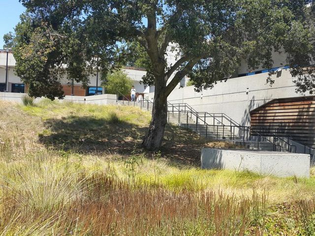 Photo of Foothill-De Anza Community College District