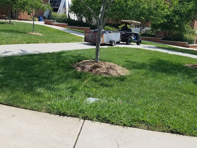 Photo of Forsyth Technical Community College