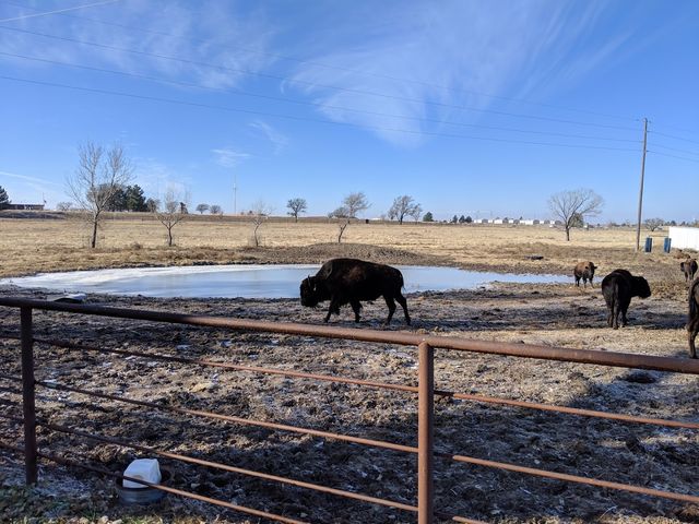 Photo of Fort Hays State University