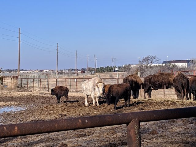 Photo of Fort Hays State University