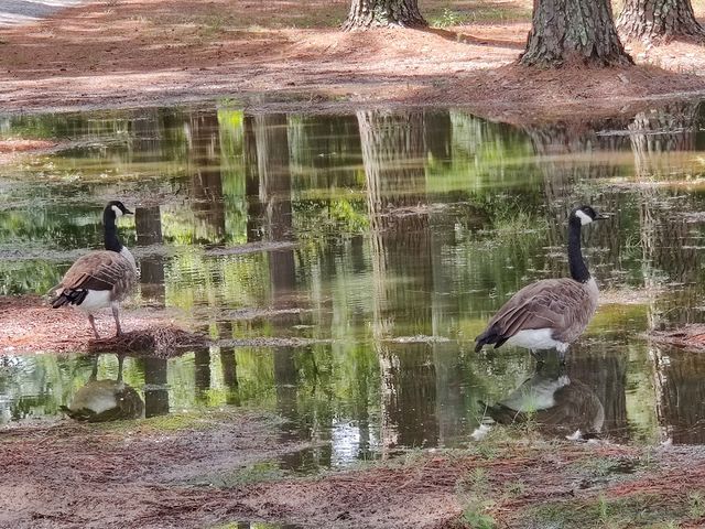 Photo of Fayetteville Technical Community College