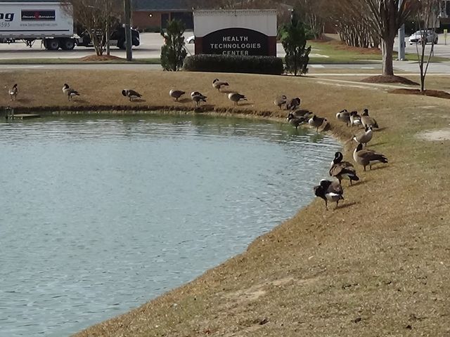 Photo of Fayetteville Technical Community College
