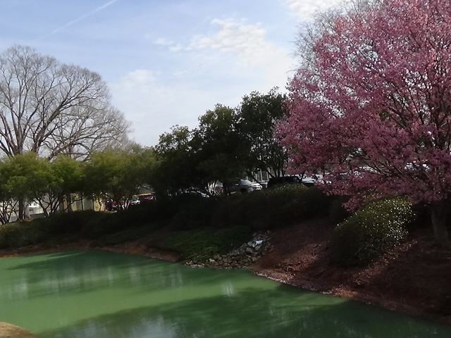 Photo of Fayetteville Technical Community College