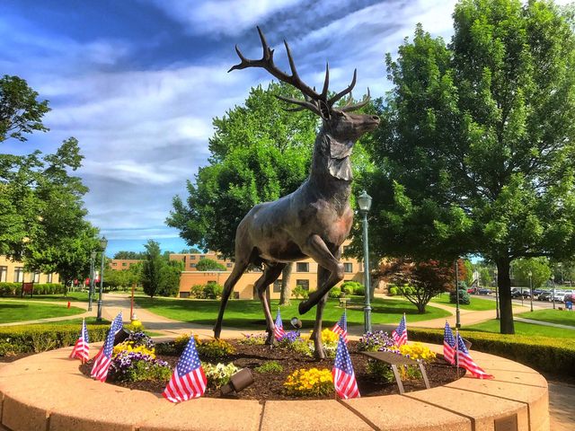 Photo of Fairfield University
