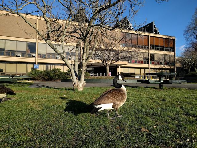 Photo of Fairleigh Dickinson University-Metropolitan Campus