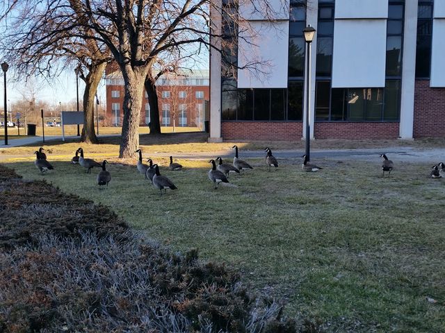 Photo of Fairleigh Dickinson University-Metropolitan Campus
