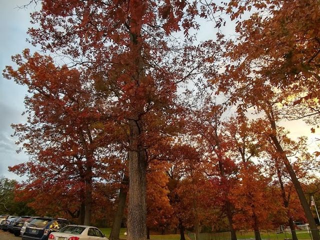Photo of Fairleigh Dickinson University-Florham Campus