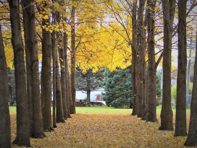 Photo of Faith Baptist Bible College and Theological Seminary