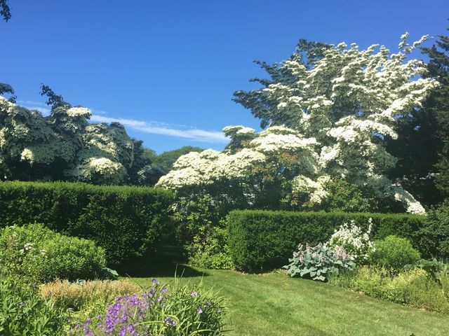 Photo of Farmingdale State College