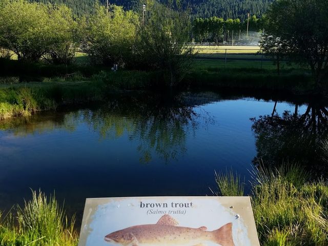 Photo of Feather River Community College District