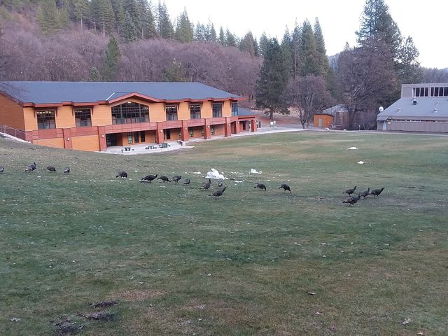 Photo of Feather River Community College District