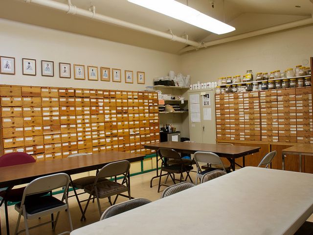 Photo of Five Branches University