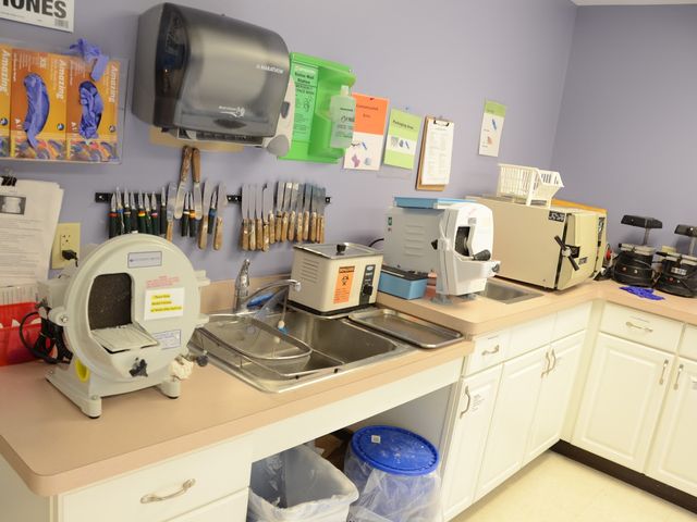 Photo of First Institute of Travel, Inc.