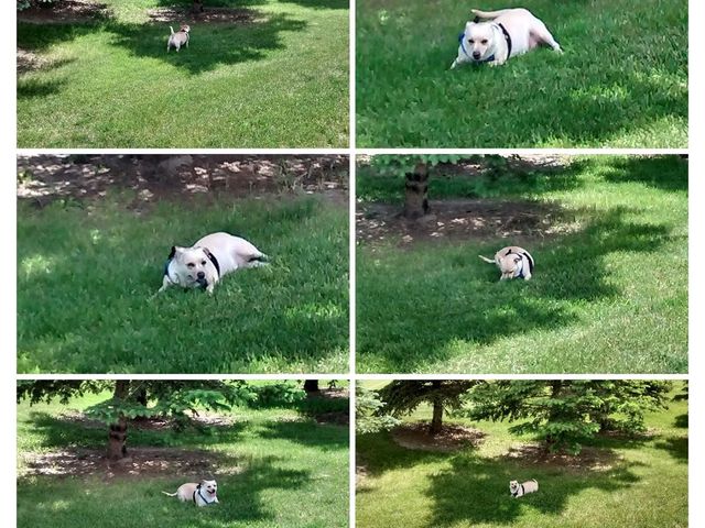 Photo of Flathead Valley Community College