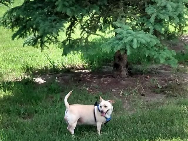 Photo of Flathead Valley Community College