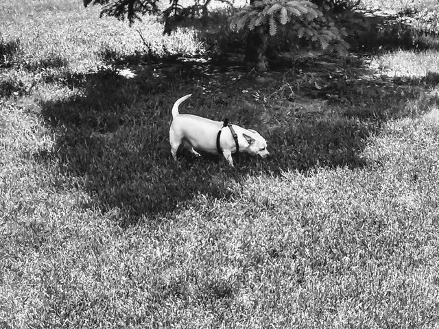 Photo of Flathead Valley Community College