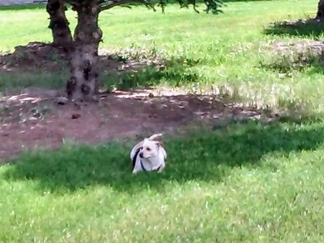 Photo of Flathead Valley Community College