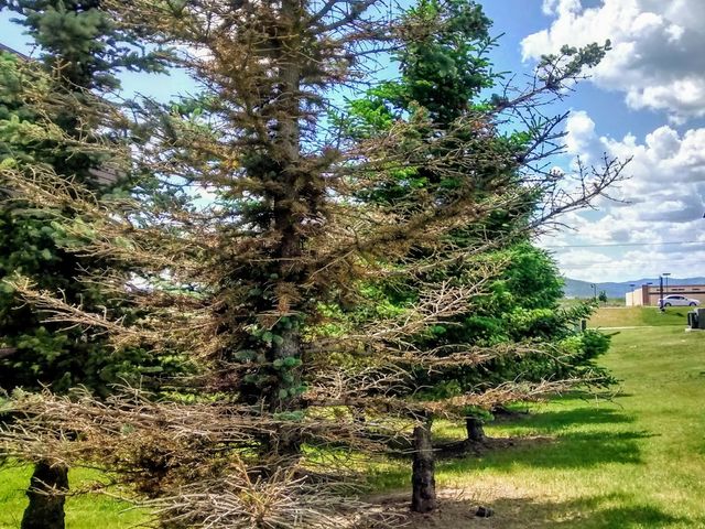 Photo of Flathead Valley Community College