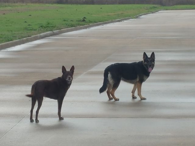 Photo of Fletcher Technical Community College