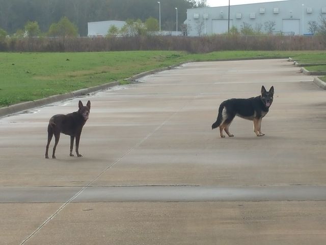 Photo of Fletcher Technical Community College