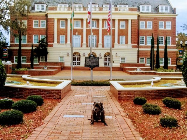 Photo of Florida Agricultural and Mechanical University