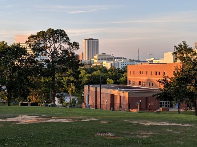 Photo of Florida Agricultural and Mechanical University