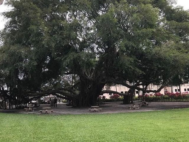 Photo of Florida Atlantic University