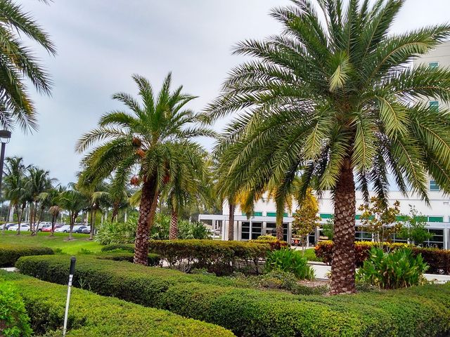 Photo of Florida Atlantic University