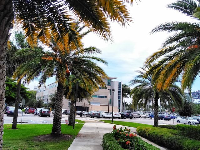 Photo of Florida Atlantic University