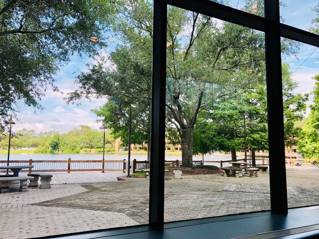 Photo of Florida Coastal School of Law