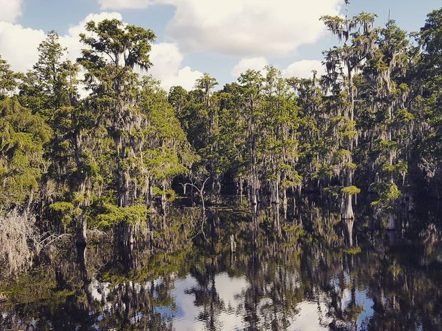 Photo of Florida College