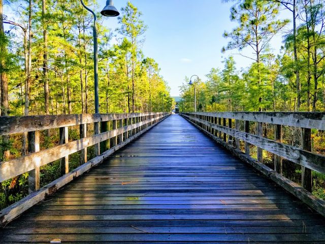 Photo of Florida Gulf Coast University