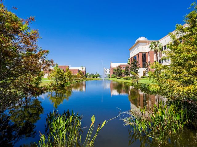 Photo of Florida Institute of Technology-Online