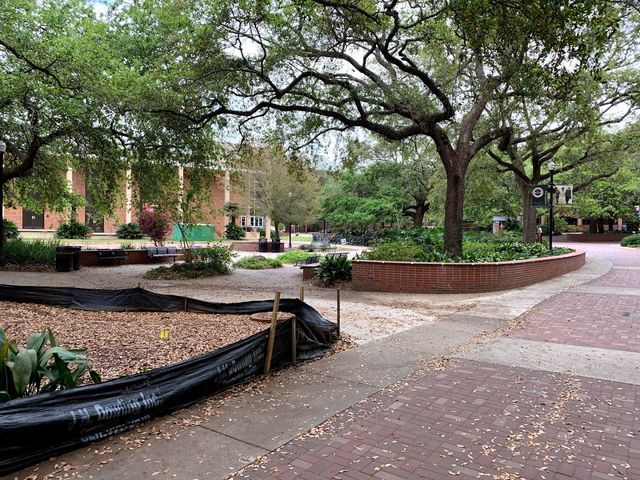 Photo of Florida State University