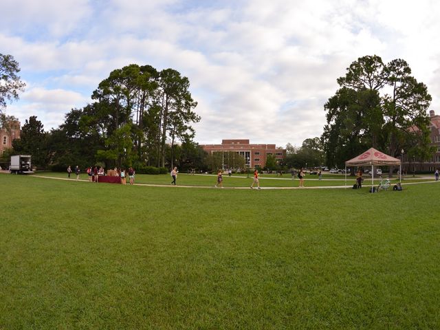 Photo of Florida State University