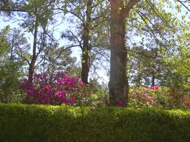Photo of Francis Marion University
