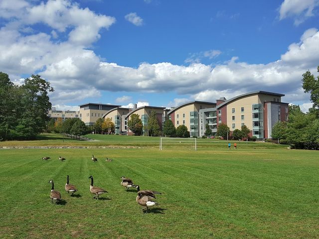 Photo of Franklin W Olin College of Engineering