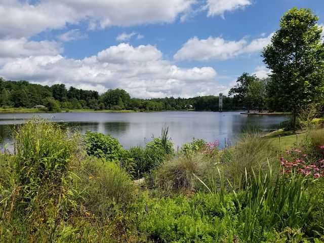 Photo of Furman University