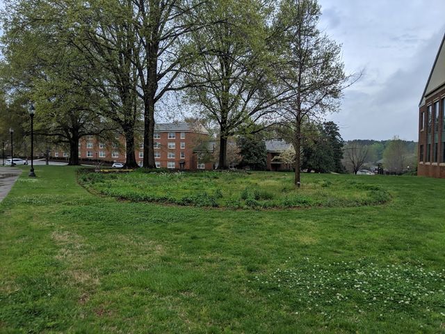 Photo of Furman University